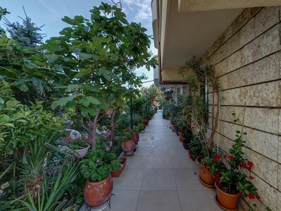 סינמורץ Family Hotel Gogov מראה חיצוני תמונה