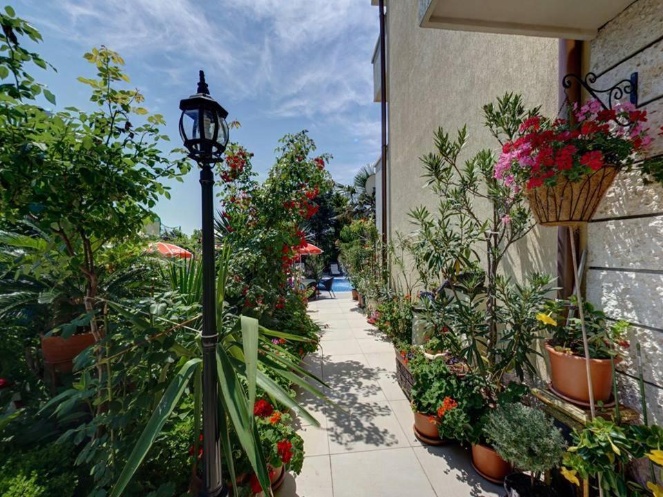 סינמורץ Family Hotel Gogov מראה חיצוני תמונה